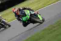 Evening Low_Mid Group Green Bikes